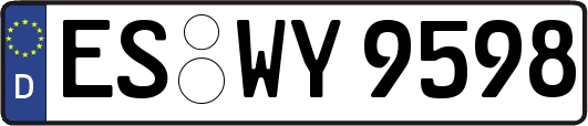 ES-WY9598