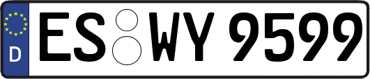 ES-WY9599