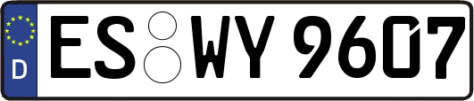 ES-WY9607