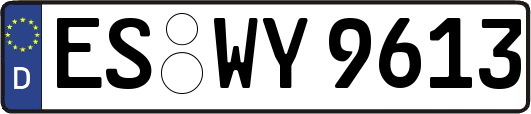 ES-WY9613