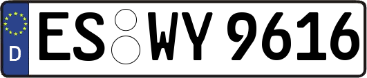 ES-WY9616