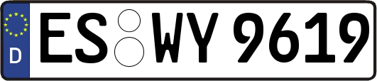 ES-WY9619