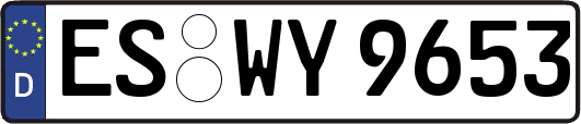 ES-WY9653