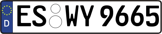 ES-WY9665
