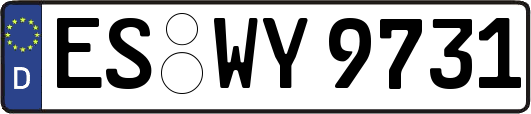 ES-WY9731