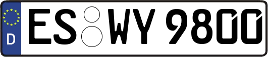 ES-WY9800