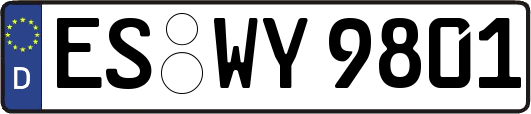 ES-WY9801
