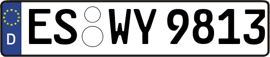 ES-WY9813