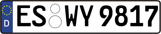 ES-WY9817