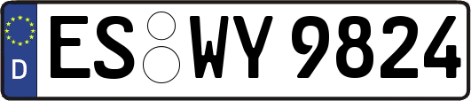 ES-WY9824
