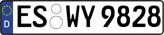 ES-WY9828