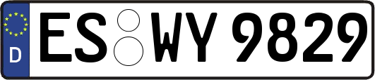 ES-WY9829