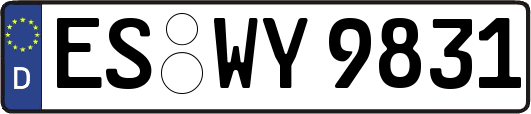 ES-WY9831