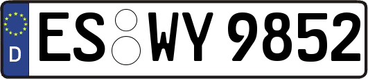 ES-WY9852