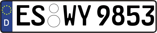 ES-WY9853
