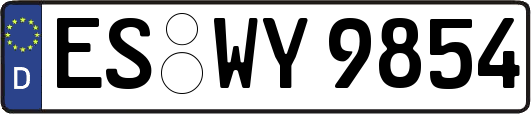 ES-WY9854