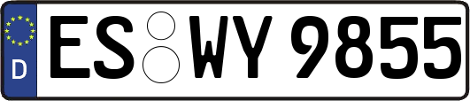 ES-WY9855