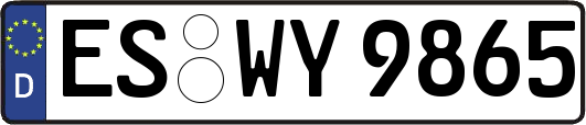 ES-WY9865
