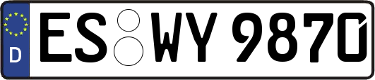 ES-WY9870