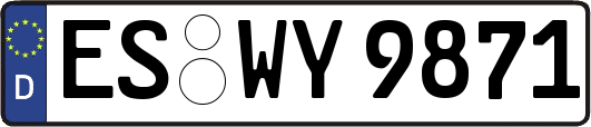 ES-WY9871