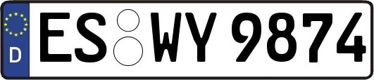 ES-WY9874