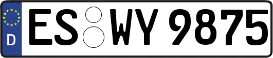 ES-WY9875