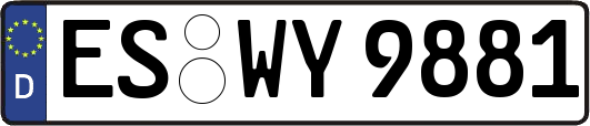 ES-WY9881