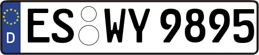 ES-WY9895