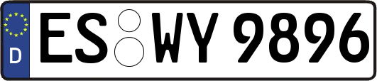 ES-WY9896