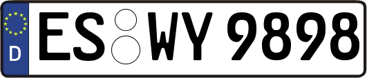 ES-WY9898