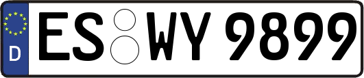 ES-WY9899