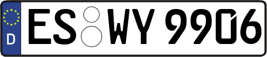 ES-WY9906