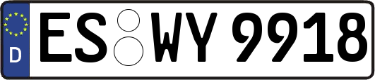 ES-WY9918