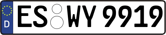 ES-WY9919