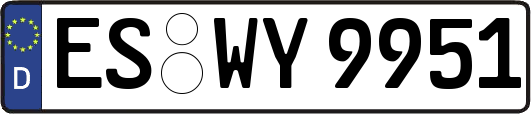ES-WY9951