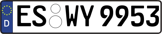 ES-WY9953