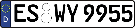 ES-WY9955