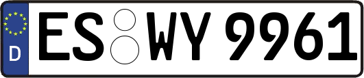 ES-WY9961