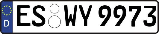 ES-WY9973