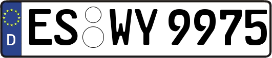 ES-WY9975