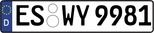 ES-WY9981