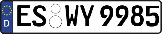 ES-WY9985