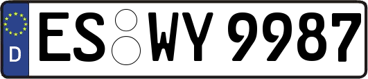ES-WY9987