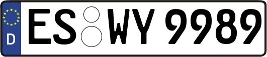 ES-WY9989