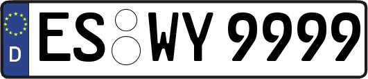 ES-WY9999
