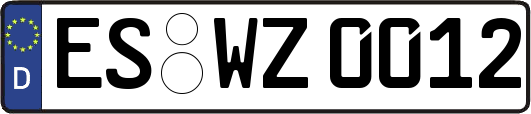 ES-WZ0012