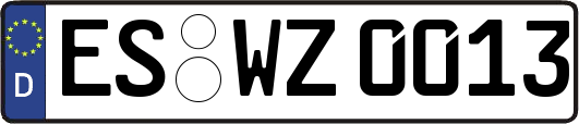 ES-WZ0013