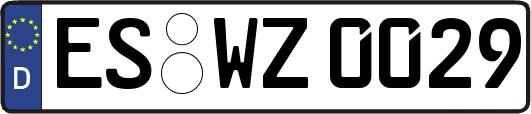 ES-WZ0029