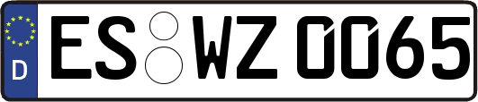 ES-WZ0065