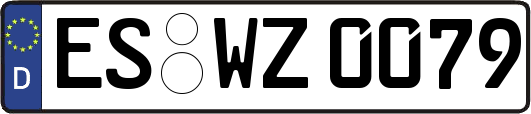 ES-WZ0079